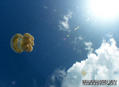 foto de buceo