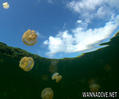 foto de buceo