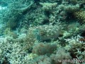 foto de buceo