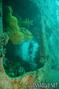 foto de buceo