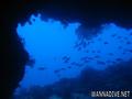 foto de buceo