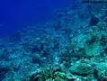 foto de buceo
