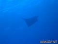 foto de buceo