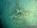foto de buceo