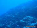foto de buceo