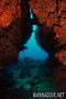 foto de buceo