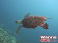 foto de buceo