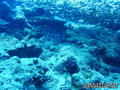foto de buceo