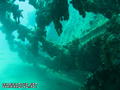 foto de buceo