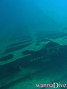 foto de buceo