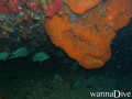 foto de buceo