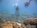 foto de buceo