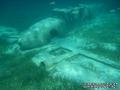 foto de buceo