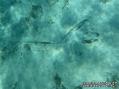 foto de buceo