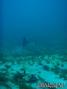 foto de buceo