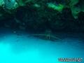 foto de buceo