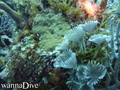 foto de buceo