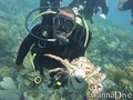 foto de buceo