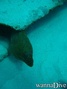 foto de buceo