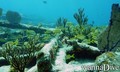 foto de buceo