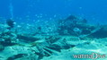 foto de buceo