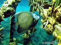 foto de buceo