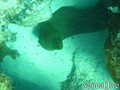 foto de buceo