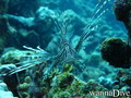 foto de buceo