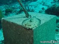 foto de buceo