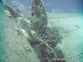 foto de buceo