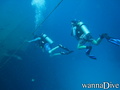 foto de buceo