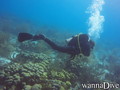 foto de buceo