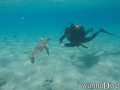 foto de buceo