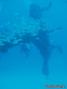 foto de buceo