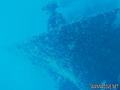 foto de buceo