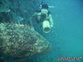 foto de buceo