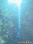 foto de buceo