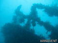 foto de buceo