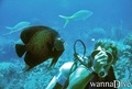 foto de buceo