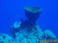 foto de buceo