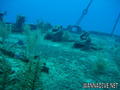 foto de buceo