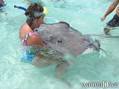 foto de buceo