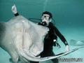 foto de buceo