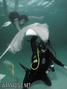 foto de buceo