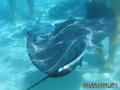 foto de buceo