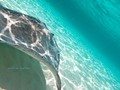 foto de buceo