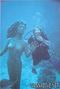 foto de buceo