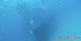foto de buceo