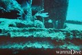foto de buceo