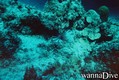 foto de buceo